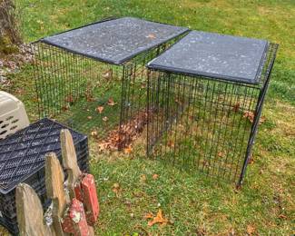 Large wire dog crates