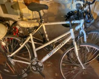 Silver Bianchi Cortina bicycle