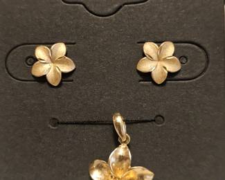 14kt Earrings & Pendant