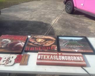 Texas Longhorn decor