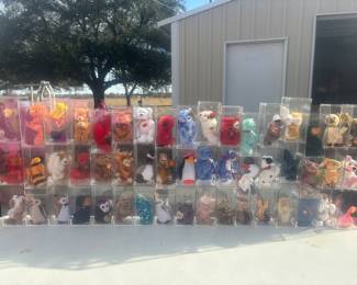 Beanie babies of all kinds in individual clear cases