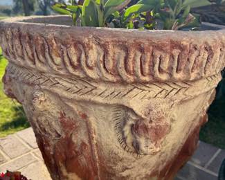 Stunning Terracotta Pot. - Shes Huge!