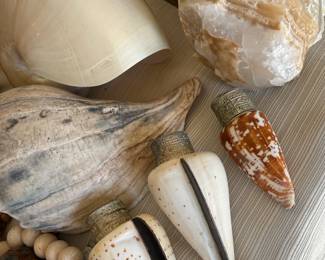 Love these Shell Containers - sold as a set