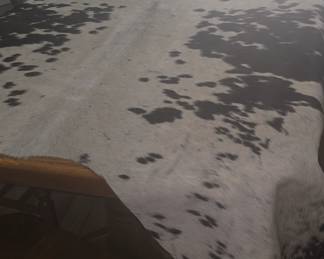 Cowhide Rug