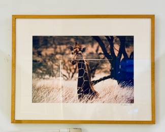 Photographs by George “Scoop” Stewart