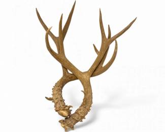 4 RusticDeerAntlerDecorMatched4Point5PointSet