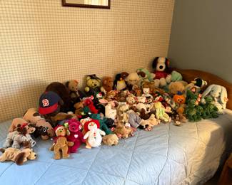 Beanies, Pound Puppies and Friends