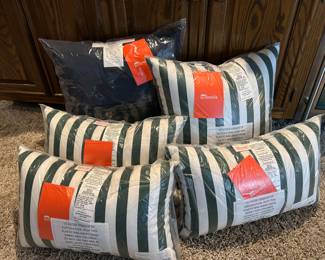 NEW Sunbrella pillows 