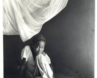 Aliqune Ba (Malian, b. 1959), La Moustiquaire (1997)
