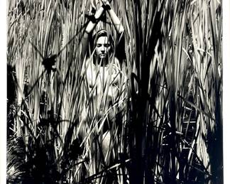 Art Zilio (American 1946-), Infrared Marsh & Reeds Nude Silver Gelatin Print