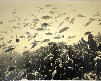 Flip Schulke (American, 1930-2008), Underwater Waterskier Series, For Life Magazine Photo Essay #6. School of Fish