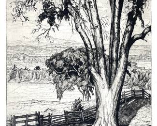 Luigi Lucioni (Italian American, 1900-1988), Big Elm, Signed Etching