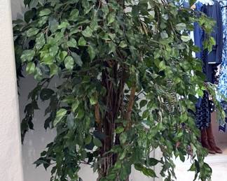 Lots of faux plants!