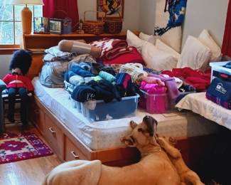 Enormous stuffed dog