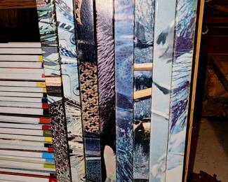 North American sportsman library