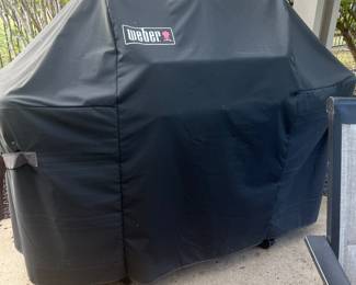 This is the Weber Grill’s cover that has kept it very clean