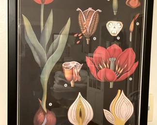 Framed Tulips poster