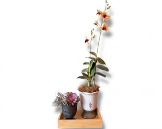 62 ArtificialOrchidFloralSetinDecorativePotswTray