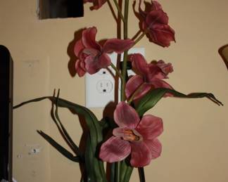 Orchid plant