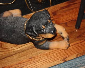 Cast brown & black dog