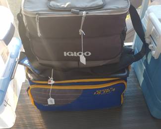 2 ice cooler bags