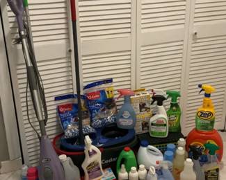 Shark Steamer And Laundry And Cleaning Products.
