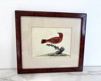 Lot 9596 William Hayes Crofs Bill Antique Bird Print