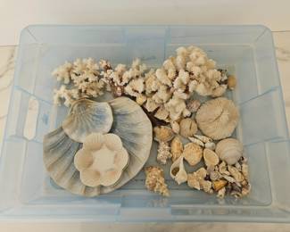 Lot 9313 Coral and Seashells  Ceramic Seashell Bowls