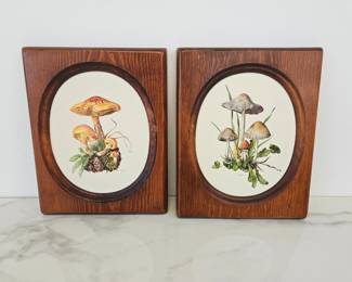 Lot 9324 Vintage Mushroom Fungi Botanical Wall Art