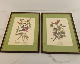 Lot 9304 Audubon Bird Art Print Duo