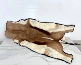 Lot 9740 Springbok Antelope Animal Hide