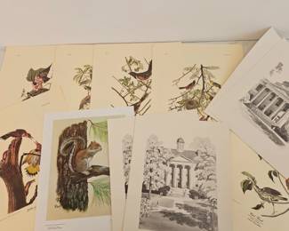 Lot 9329 Audubon Bird and Botanical Art Prints UNC Art Prints