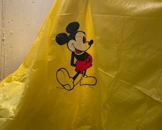 Mickey Mouse rain poncho.