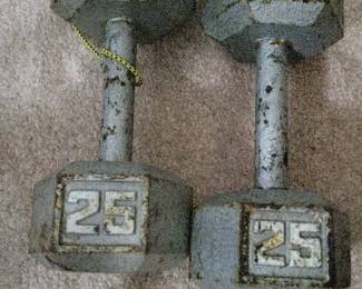 25 Lb Dumbbells