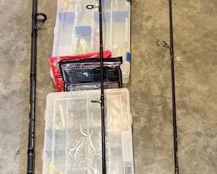 Big Cat Pole and More