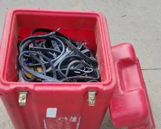 Tote of Straps Bungees