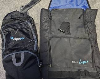 Backpack and Collapsible Travel Bag