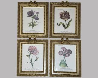 Set Of Four Reproduction Framed Botanical Prints