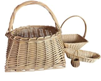 Incredible Basket Lot