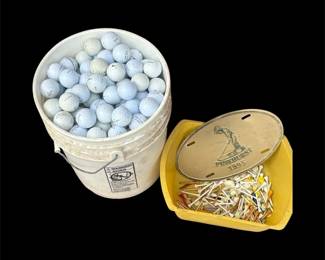 Golf Ball Tee Lot  Large Bucket of Used Balls  Assorted Tees  Great for Practice
