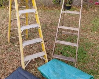 Ladders and Tarps Bundle