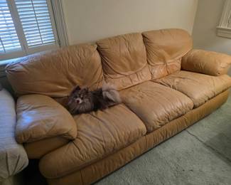 Nice leather couch. Doggie approved!