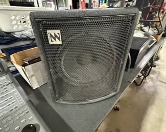 XiTone 12" passive wedge speaker