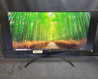 LG 24" Ultra Wide screen