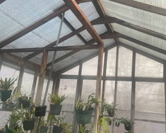 Inside Greenhouse