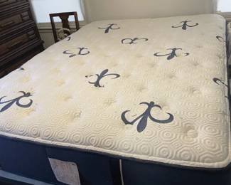 Queen Mattress Set.  Purchased 2024.  Excellent Condition. 