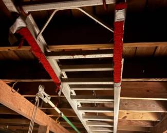 Craftsman Metal Ladder And Tree Saw