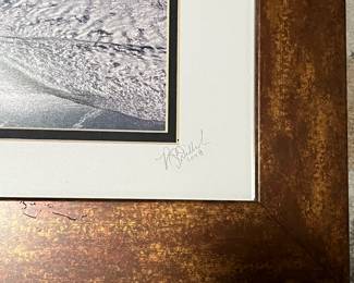 C28 - $15. Signed Framed Photograph. Framed it measures 17.5" x 14.5". 