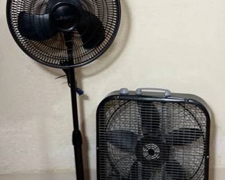Two Fans 