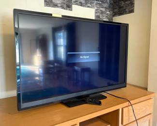 Vizio Television Model E500AR
